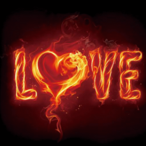 آلبوم کاغذ دیواری لاو (Love)